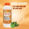 HERB GUARD - Cải thiện màu sắc và lipid gan