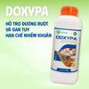 Kháng sinh cho nhiễm trùng đường hô hấp DOXYPA