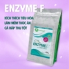 ENZYME F - Enzyme đặc hiệu, hỗ trợ tiêu hóa