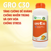 GRO C30 - Cung cấp vitamin C giúp tăng sức đề kháng, giảm stress