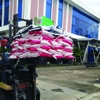 GROW MIN - Khoáng hòa tan dễ hấp thu
