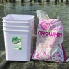 GROW MIN - Khoáng hòa tan dễ hấp thu