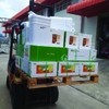 HEPA PRO - Thảo dược kết hợp tảo biển làm tốt chức năng gan tụy