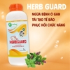 HERB GUARD - Giải độc, bổ gan, phục hồi chức năng gan