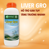 LIVER GRO - Tăng cường chức năng gan, giải độc gan