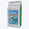 OLA BẢO VỆ RUỘT - Ức chế khuẩn, phòng phân trắng và hoại tử gan tụy
