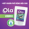 OLA VIBRIO: Loại bỏ vi khuẩn Vibrio hiệu quả, an toàn cho tôm nuôi
