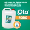 OLA RODO: Hấp thu khí độc, chuyển hóa CO2
