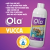 OLA YUCCA: Hấp thụ khí độc, cấp cứu cá nổi đầu