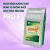 PRO F - Nong to đường ruột, ruột đen, phân chắc
