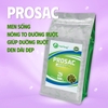 PRO SAC - Men giúp nong to đường ruột, phân chắc, hấp thu thức ăn tốt