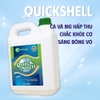 QUICKSHELL - Khoáng sữa vàng bổ sung hàm lượng cao Canxi và Magie