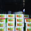 VITAMIN C TẠT - Tăng sức đề kháng