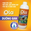 OLA DƯỠNG GAN - Phòng các vấn đề về gan, bổ gan tụy