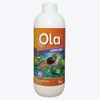 OLA DƯỠNG GAN - Phòng các vấn đề về gan, bổ gan tụy