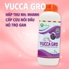 YUCCA GRO - Hấp thụ khí độc, cấp cứu cá nổi đầu