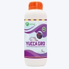 YUCCA GRO - Hấp thụ khí độc, cấp cứu cá nổi đầu