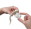 [HÀNG SẴN] BANDAI MÔ HÌNH LẮP RÁP PLANNOSAURUS Pachyrhinosaurus