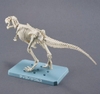 [HÀNG SẴN] BANDAI MÔ HÌNH LẮP RÁP PLANNOSAURUS Tyrannosaurus Snowfall Area Ver.