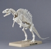 [HÀNG SẴN] BANDAI MÔ HÌNH LẮP RÁP PLANNOSAURUS Spinosaurus 1915