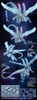 [HÀNG ĐẶT TRƯỚC] MÔ HÌNH LẮP RÁP SHOOTING STAR DRAGON YUGIOH 5D's RỒNG SAO BĂNG