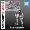 [HÀNG SẴN] MÔ HÌNH LẮP SẴN HG 1/100 VF-31S SIEGFRIED (ARAD MOLDERS USE）