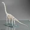 [HÀNG SẴN] BANDAI MÔ HÌNH LẮP RÁP KHỦNG LONG PLANNOSAURUS Brachiosaurus (CÓ KHUNG XƯƠNG)