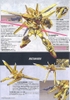 BANDAI Mô hình lắp ráp HG 1/100 OOWASHI AKATSUKI GUNDAM