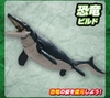 [HÀNG SẴN] BANDAI MÔ HÌNH LẮP RÁP KHỦNG LONG PLANNOSAURUS Mosasaurus (CÓ KHUNG XƯƠNG)