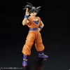 [HÀNG CÓ SẴN] Mô hình SON GOKU (NEW SPEC Ver.) Figure-rise Standard lắp ráp BANDAI CHÍNH HÃNG