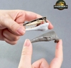 [HÀNG SẴN] BANDAI MÔ HÌNH LẮP RÁP PLANNOSAURUS JURASSIC WORLD Mosasaurus (CÓ KHUNG XƯƠNG)