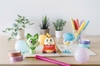 [HÀNG SẴN] BANDAI MÔ HÌNH LẮP RÁP Pokémon PLAMO COLLECTION QUICK!! 20 Fuecoco CHÍNH HÃNG
