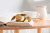 [HÀNG SẴN] BANDAI MÔ HÌNH LẮP RÁP Pokémon PLAMO COLLECTION QUICK!! 07 Eevee (Sleeping Pose)