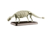 [HÀNG SẴN] BANDAI MÔ HÌNH LẮP RÁP PLANNOSAURUS Ankylosaurus