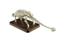 [HÀNG SẴN] BANDAI MÔ HÌNH LẮP RÁP PLANNOSAURUS Ankylosaurus