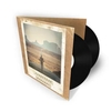 Vinyl PASSENGER - RUNAWAY (2 LP, DELUXE/GATEFOLD)