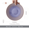 Đĩa nông  Tím  21.2 cm