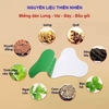 Mugwort Pain Relief Patches Box of 12 Patches