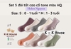 SET OF 5 PAIRS OF HIGH-COLLAR SOCKS IN KOREAN TONE COLORS