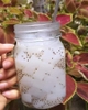 MINH CHAU Coconut Jelly Pack 32G