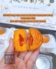 Lava Custard Mooncake with Salted Egg Yolk - Mid-Autumn Edition