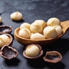 MACADAMIA NUTS BOX 400G (EXP: 2/10/2025)