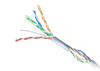 Cable Mạng DINTEK CAT.6 UTP 305m (1101-04032)
