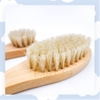 Lược Chải Lông Cho Thỏ, Bọ Ú, Chinchilla Cao Cấp Hiệu Jolly JP221