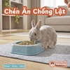 Chén Ăn Chống Lật Cho Thỏ, Bọ Ú, Chinchilla, Chó, Mèo