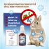 Dung Dịch Uống Khử Mùi Hôi Cho Thỏ, Bọ Ú, Chinchilla, Hamster DRBUNNY 50ml