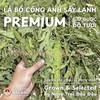 Lá Bồ Công Anh Sấy Cho Thỏ, Bọ Ú, Chinchilla Bổ Sung Canxi