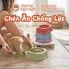 Chén Ăn Chống Lật Cho Thỏ, Bọ Ú, Chinchilla, Chó, Mèo