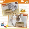 Chén Ăn Cao Cấp Cho Thỏ, Bọ Ú, Chinchilla, Thú Nhỏ OIC Siêu Nặng Chống Lật Chống Trượt OC38
