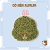 Cỏ Nén Alfalfa 500g